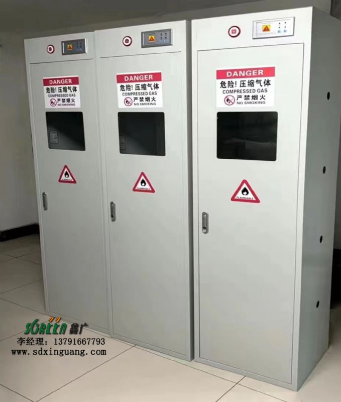山東實(shí)驗(yàn)室設(shè)備,全鋼實(shí)驗(yàn)室氣瓶柜,實(shí)驗(yàn)臺(tái)廠(chǎng)家