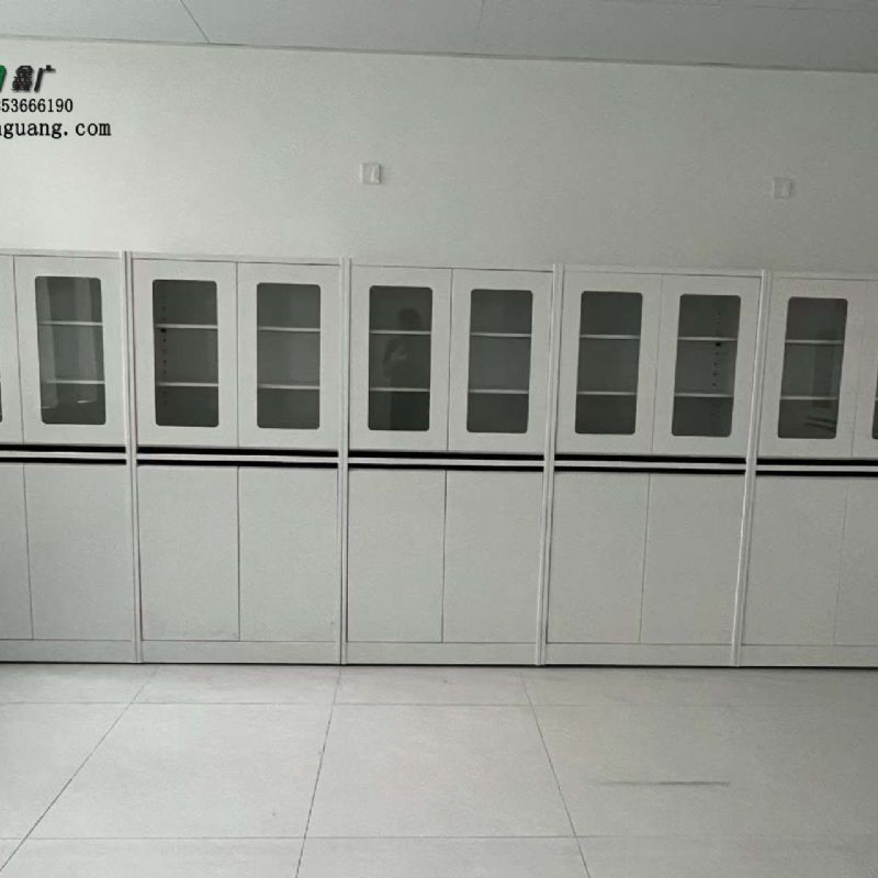 山東實(shí)驗(yàn)室家具定制全鋼器皿柜實(shí)驗(yàn)室試劑柜