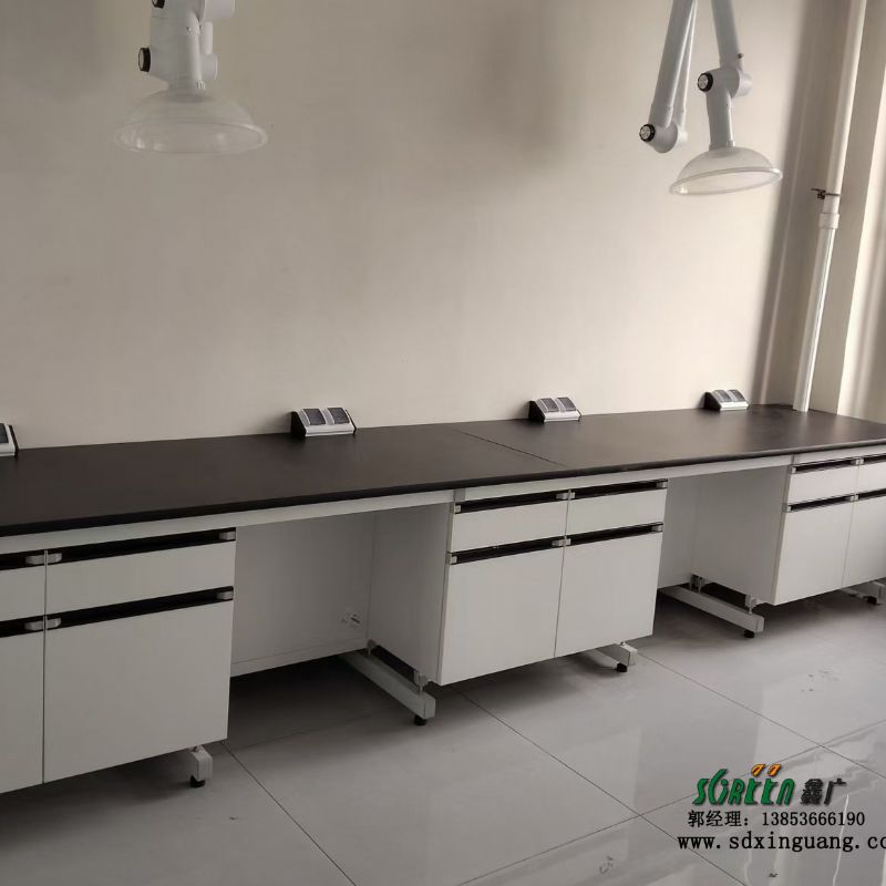 東營(yíng)鋼木實(shí)驗(yàn)臺(tái)實(shí)驗(yàn)室邊臺(tái)實(shí)驗(yàn)桌廠家