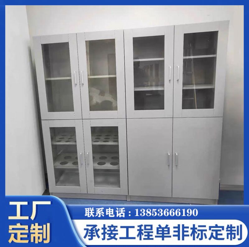 山東實驗室家具全鋼試劑柜試驗臺廠家供應
